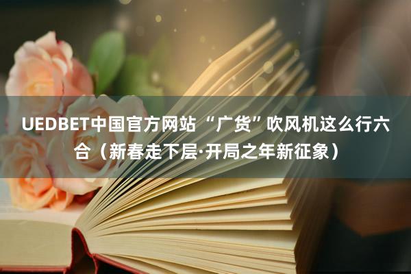 UEDBET中国官方网站 “广货”吹风机这么行六合（新春走下层·开局之年新征象）