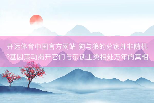 开运体育中国官方网站 狗与狼的分家并非随机?基因策动揭开它们与东谈主类相处万年的真相