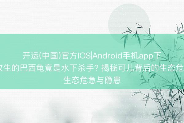 开运(中国)官方IOS|Android手机app下载 顺手放生的巴西龟竟是水下杀手? 揭秘可儿背后的生态危急与隐患