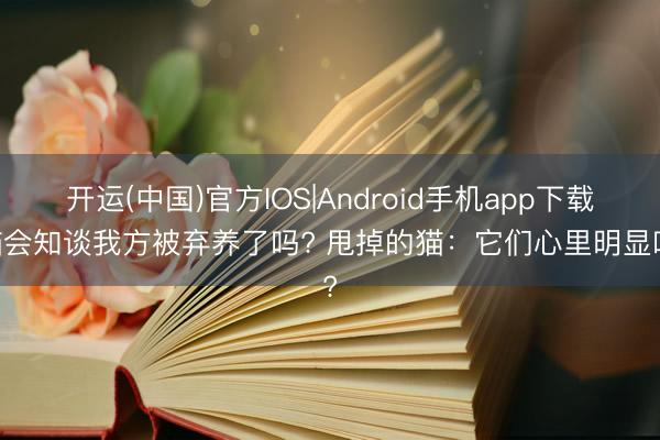 开运(中国)官方IOS|Android手机app下载 猫会知谈我方被弃养了吗? 甩掉的猫：它们心里明显吗?