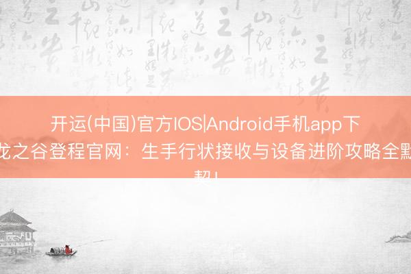 开运(中国)官方IOS|Android手机app下载 龙之谷登程官网：生手行状接收与设备进阶攻略全默契！