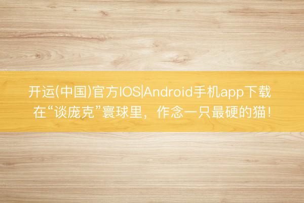 开运(中国)官方IOS|Android手机app下载 在“谈庞克”寰球里，作念一只最硬的猫！