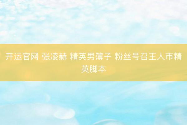 开运官网 张凌赫 精英男簿子 粉丝号召王人市精英脚本