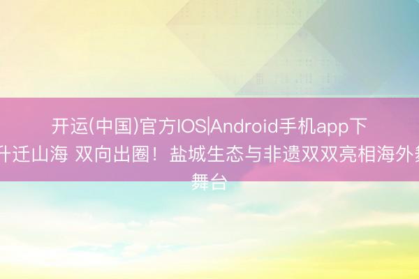 开运(中国)官方IOS|Android手机app下载 升迁山海 双向出圈！盐城生态与非遗双双亮相海外舞台