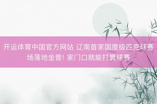 开运体育中国官方网站 辽南首家国度级匹克球赛场落地金普! 家门口就能打寰球赛