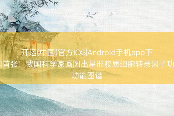 开运(中国)官方IOS|Android手机app下载 全国首张！我国科学家画图出星形胶质细胞转录因子功能图谱