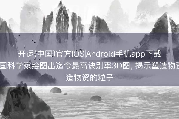 开运(中国)官方IOS|Android手机app下载 好意思国科学家绘图出迄今最高诀别率3D图， 揭示塑造物资的粒子