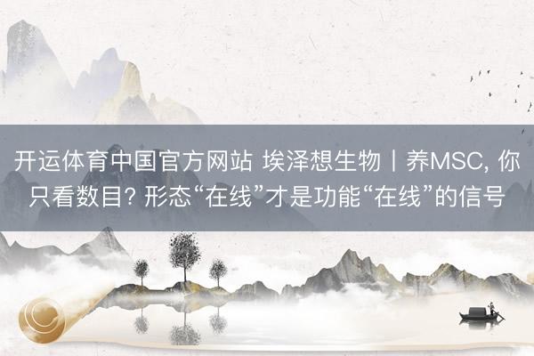 开运体育中国官方网站 埃泽想生物丨养MSC, 你只看数目? 形态“在线”才是功能“在线”的信号